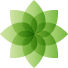 Ely Energy Now & Future